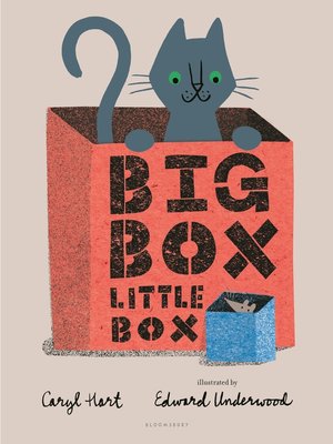 cover image of Big Box Little Box